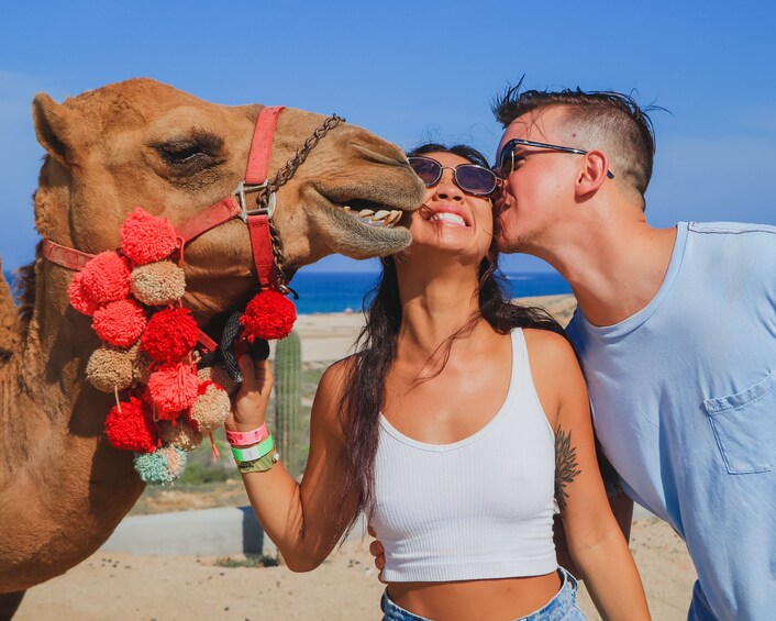 Camel Ride Adventure in Los Cabos 