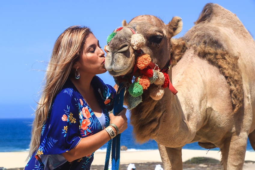 Camel Ride Adventure in Los Cabos