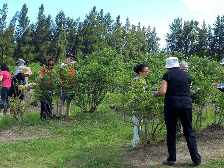 La Macarena Countryside Tour