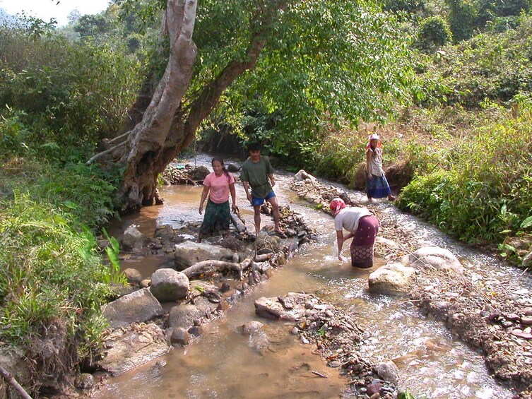 Locals working in the river in Luang Prabang 