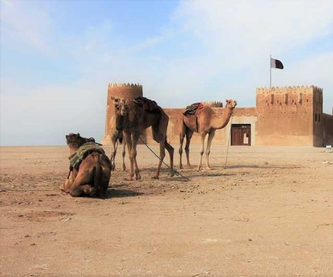 Zubara North Coast Tour in Qatar