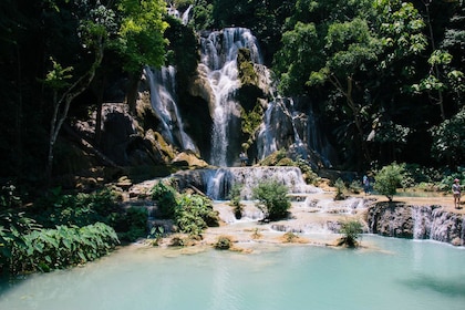 Kuang Si Wasserfall & Bärenrettungszentrum Ganztagestour