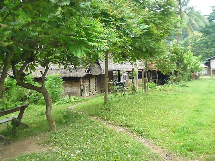 Lush Khmu village 