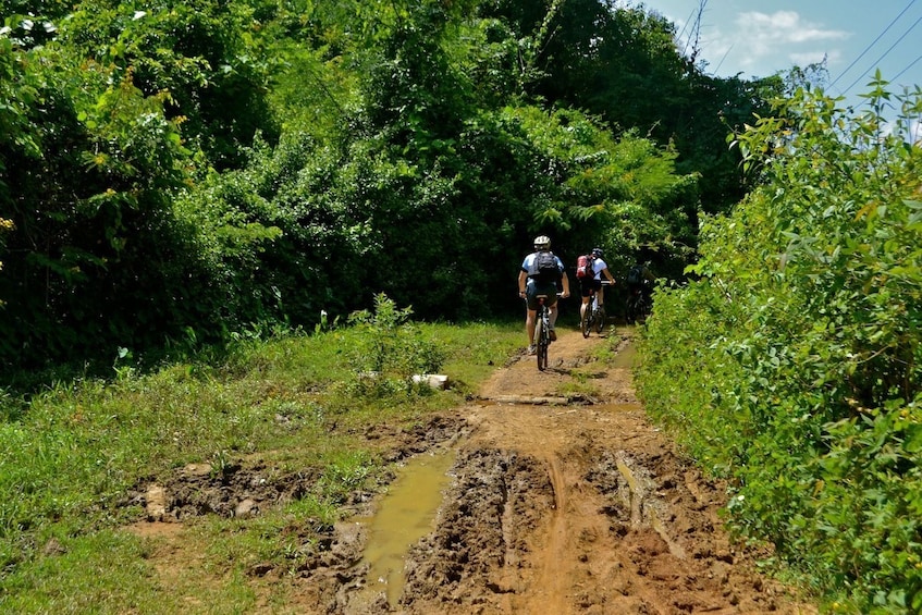 Tourists bike along muddy road of Khmu Village