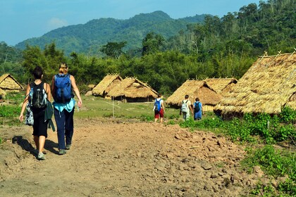 Jungle Trek, arrozales, tribus de las colinas y cascada de Tad Sae