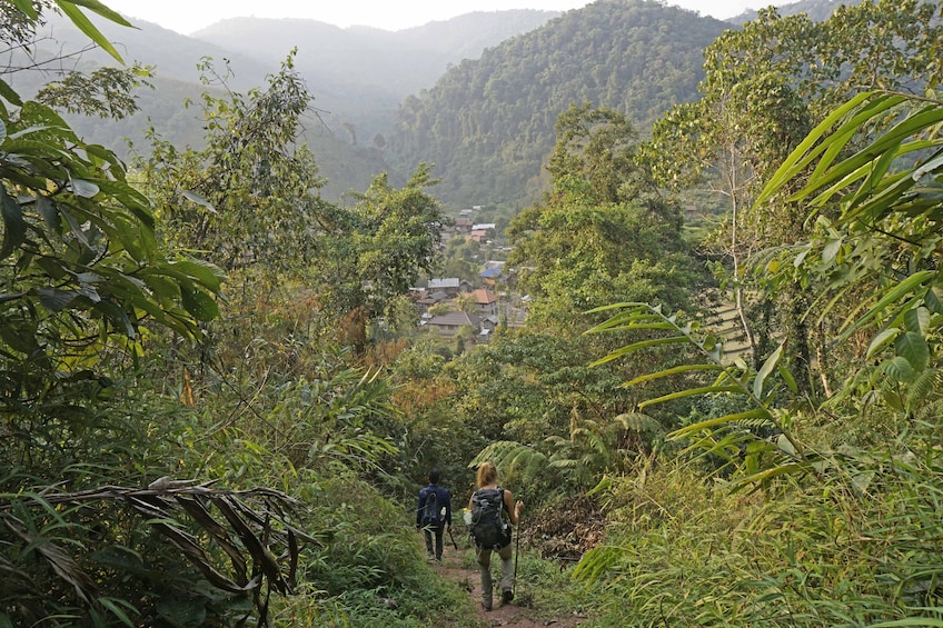 Group hiking through a lush jungle in Luang Prabang