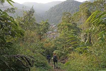 Paddle Through the Jungle and Kayaking the Nam Khan River