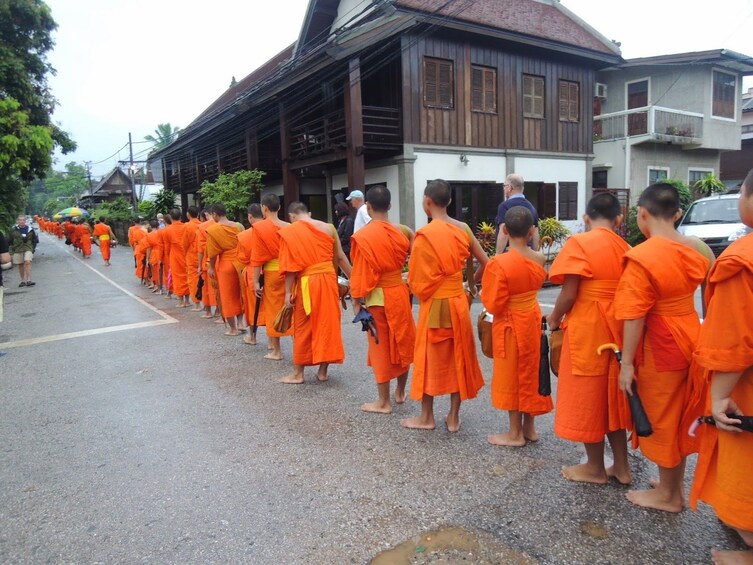Monks in bright orange robes line up in Luang Prabang, Laos