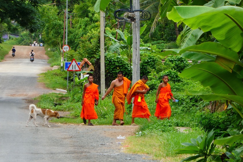 Four monks walk together with dog trailing behind in rural Luang Prabang, Laos