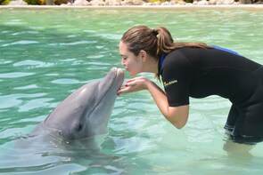 Miami Seaquarium Dolphin Encounter