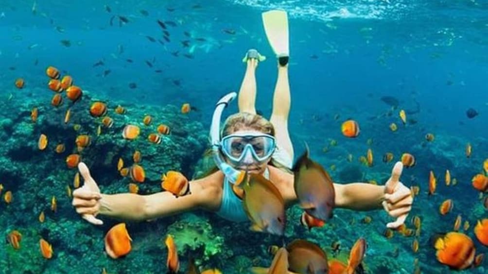 Show item 2 of 9. Bali Snorkeling Trip at Blue Lagoon