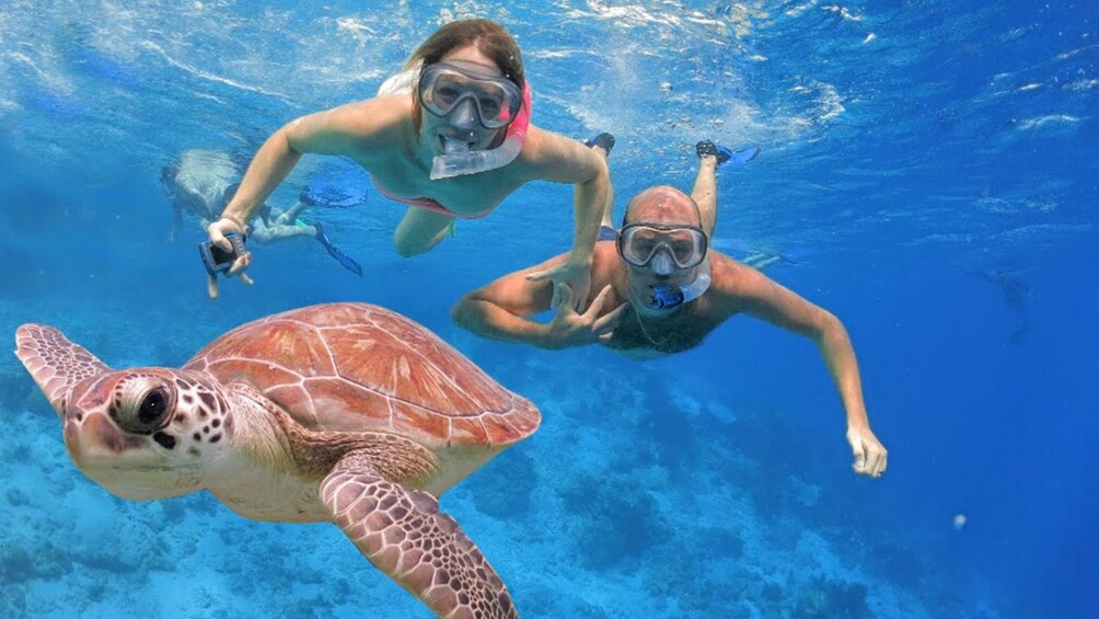 Show item 3 of 9. Bali Snorkeling Trip at Blue Lagoon