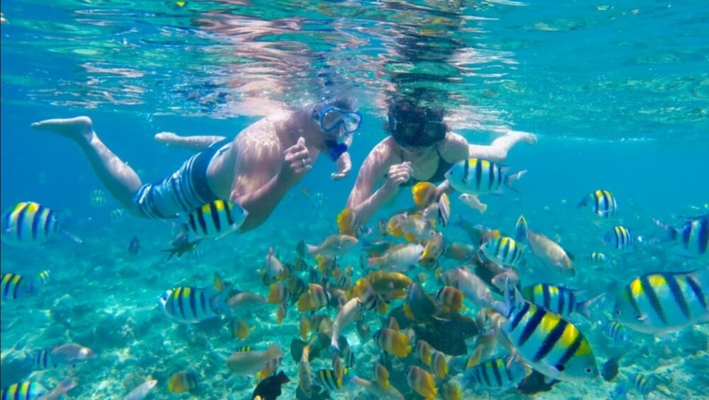 Show item 5 of 9. Bali Snorkeling Trip at Blue Lagoon