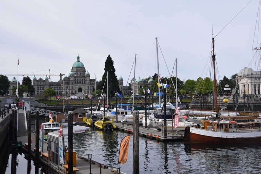 Hop On Half Day Sightseeing Victoria