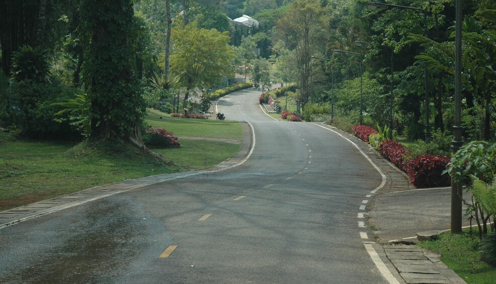 Local road in Mae Hong Son

