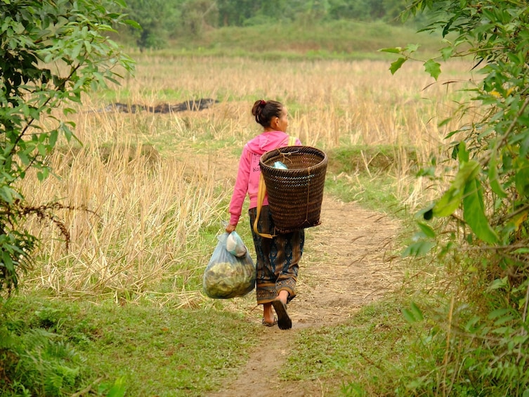 Woman with basket on her back walks through fields of Vang Vieng