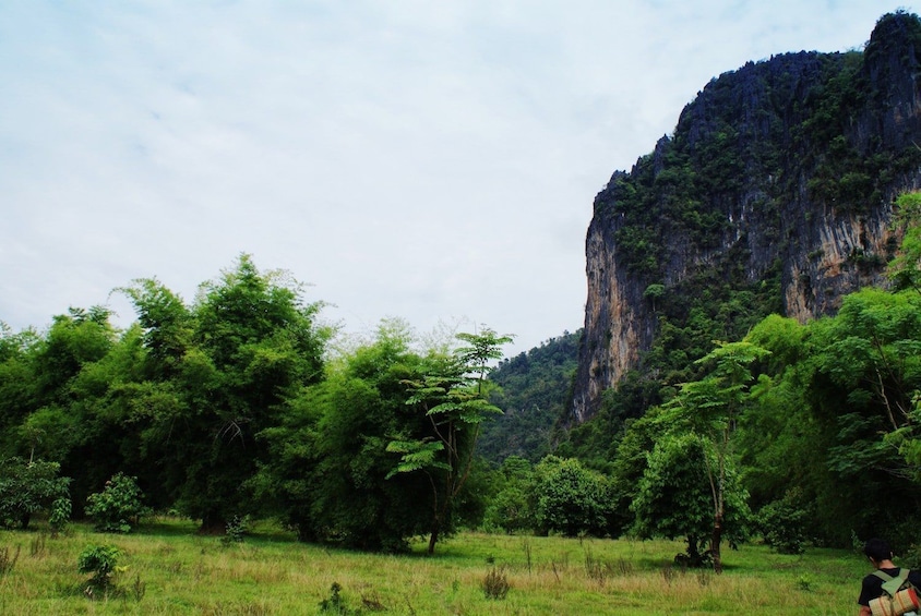 Lush landscape with tall rockface in Vang Vieng, Laos