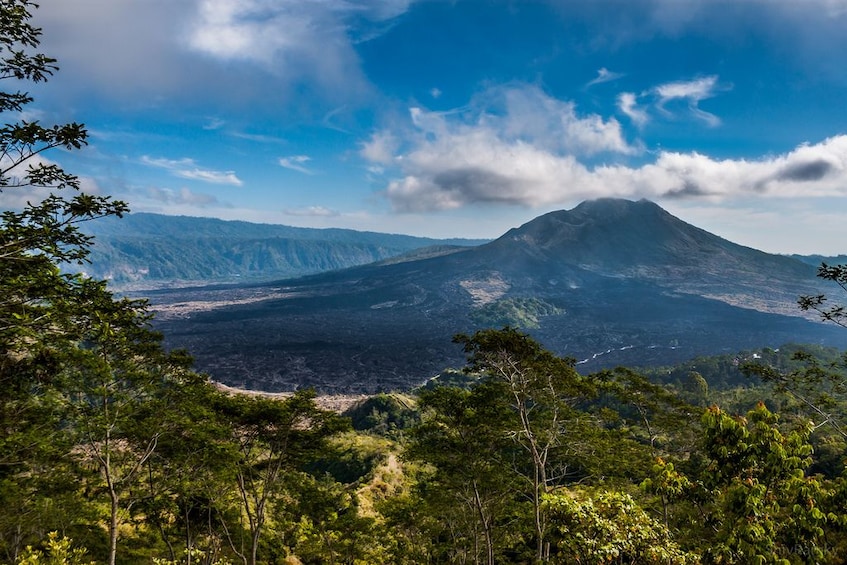 Inclusive Bali Kintamani Volcano and Ubud Tour