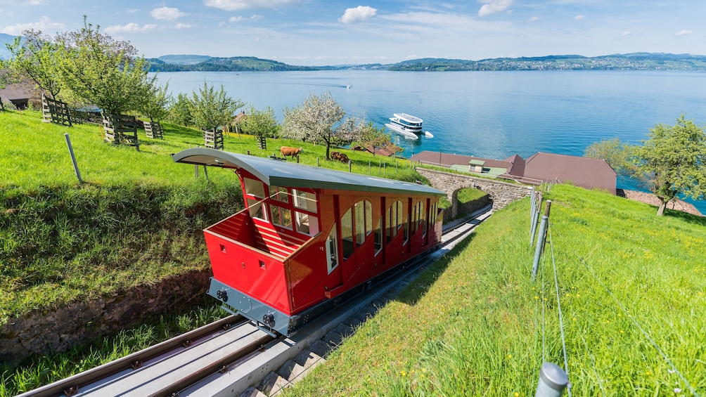 Lucerne and Bürgenstock Day Trip
