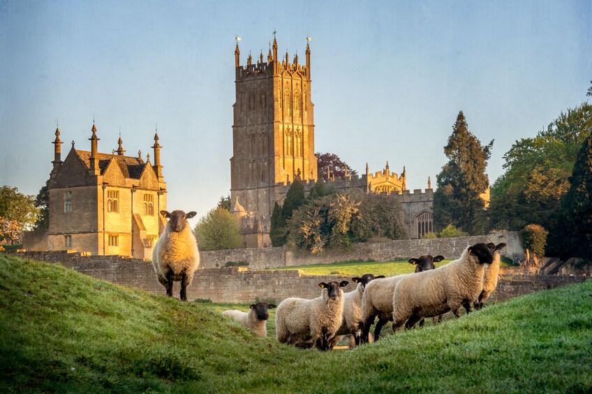 The Cotswolds and Blenheim Palace with Lunch in British Pub