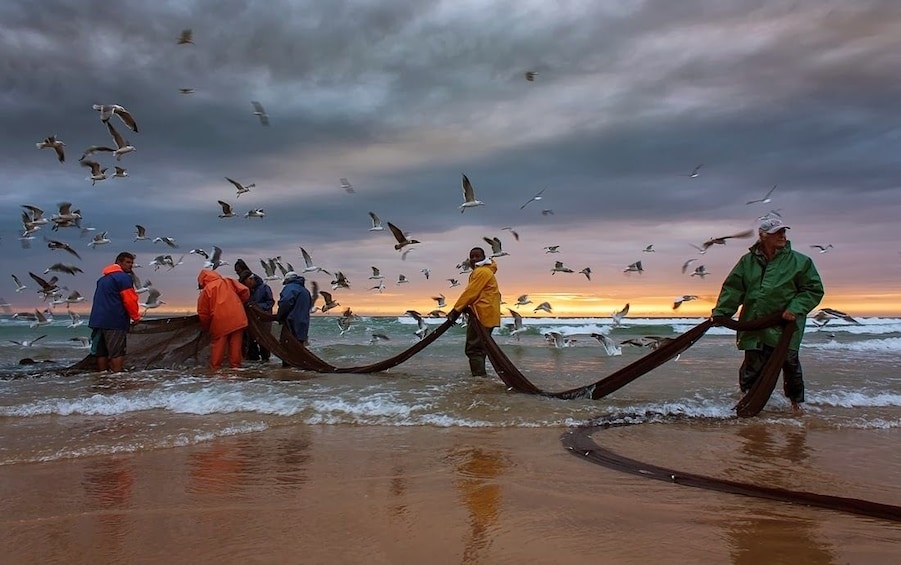 Show item 1 of 10. Be a Fisherman for One Day in Lisbon