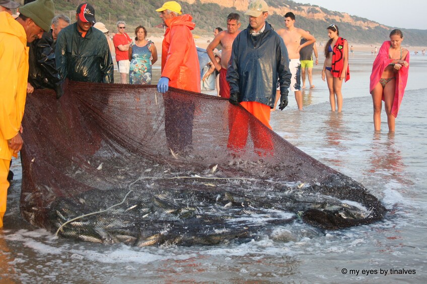 Show item 2 of 10. Be a Fisherman for One Day in Lisbon