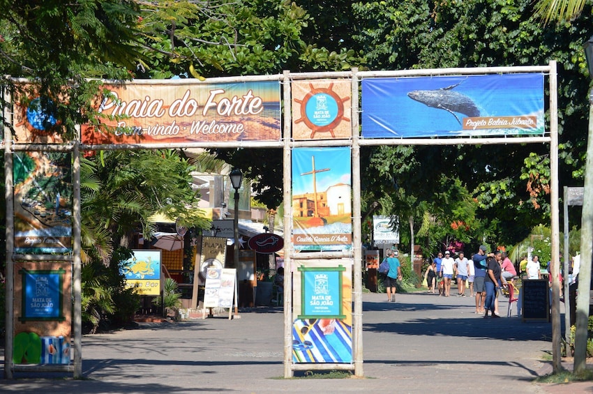Praia Do Forte & Guarajuba Beach Day Trip