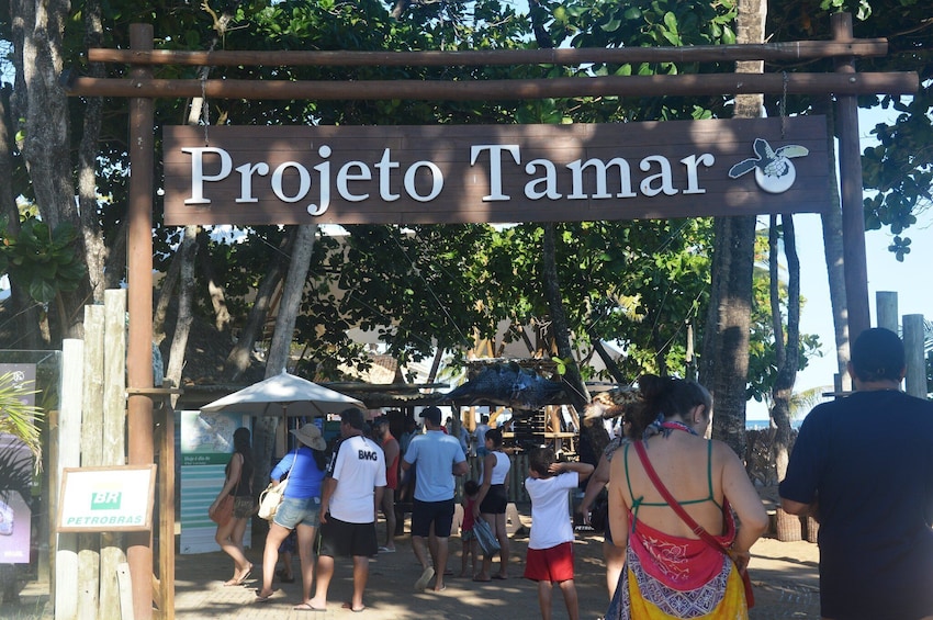 Praia Do Forte & Guarajuba Beach Day Trip