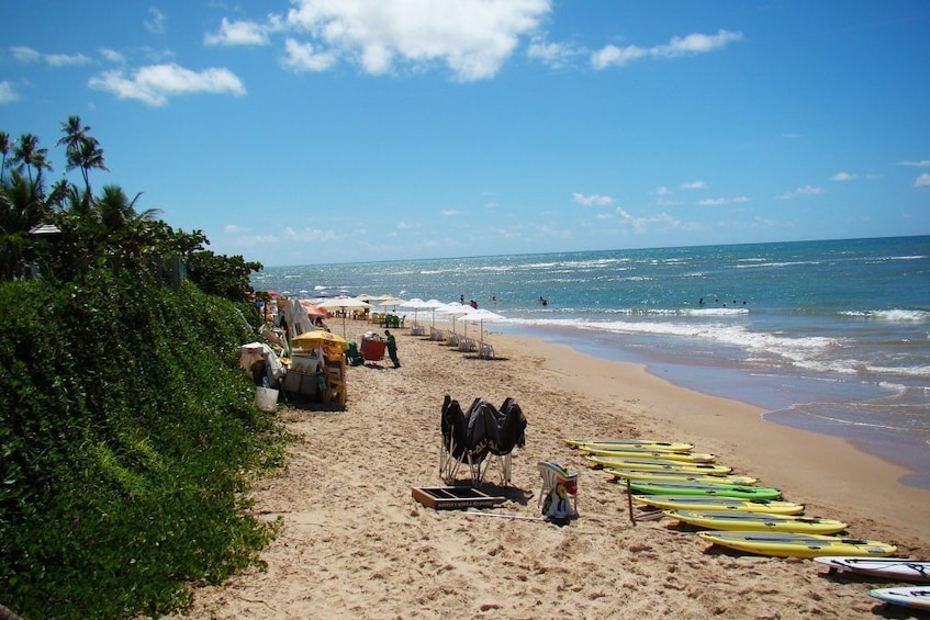 Praia Do Forte & Guarajuba Beach Day Trip	