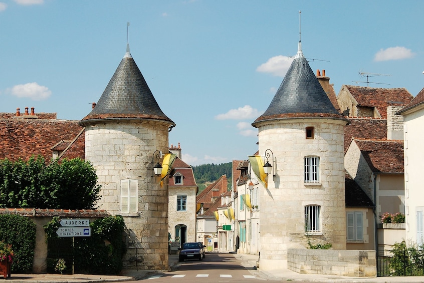 Vineyard Turrets in Chablis, France 