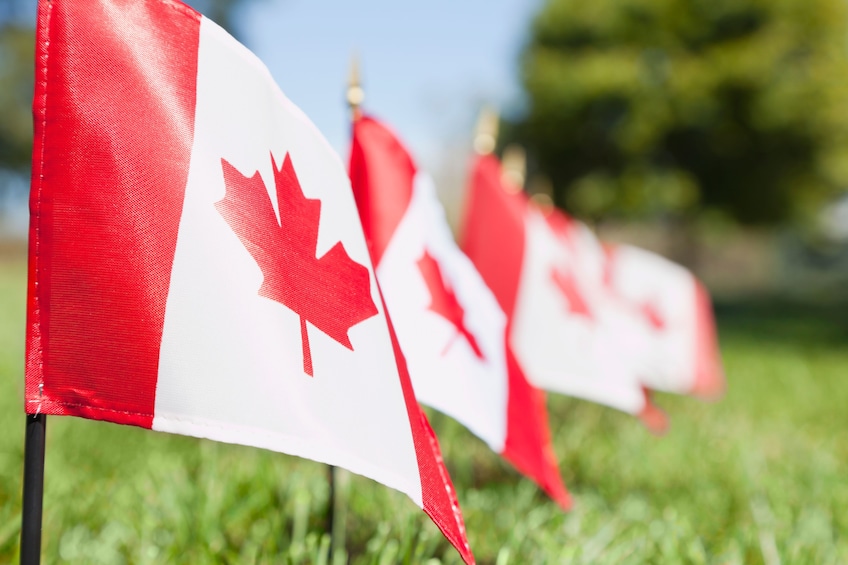 Small Canadian flags stuck into grass on a sunny day