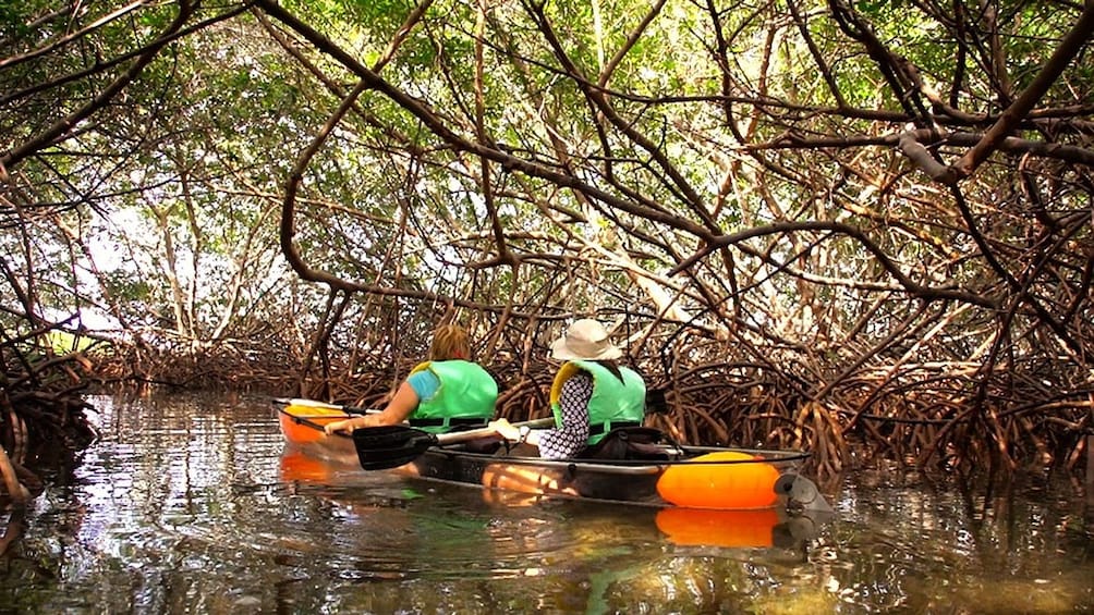 Transparent Kayak Tour