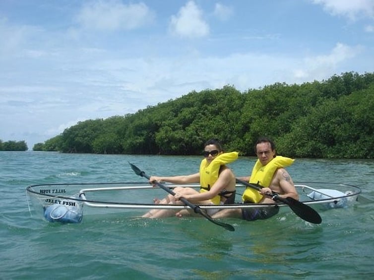 Transparent Kayak Tour