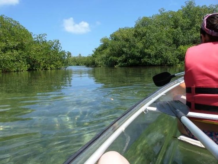 Transparent Kayak Tour