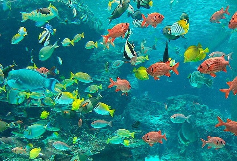 San Andrés VIP Tour