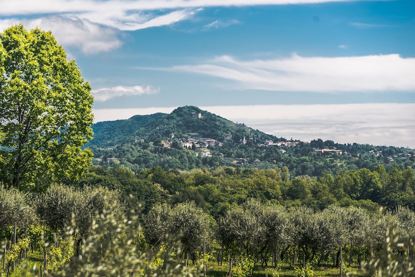 Day view of Tenuta Baron