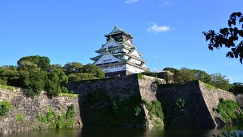Osaka's Best and Brightest by Private Vehicle