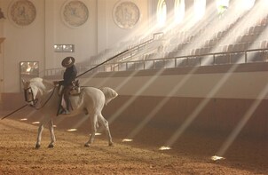 From Cadiz: Jerez Day Trip with Horse Show & Sherry Winery