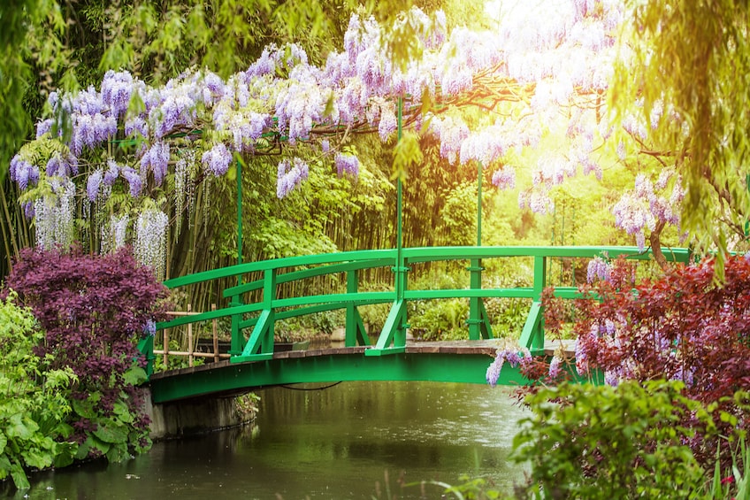 Bright green bridge over pond in Monet's garden in Giverny, France