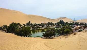 From Lima: Ballestas, Winery & Huacachina Oasis