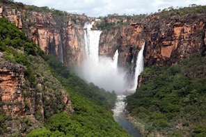 Kakadu and Katherine Gorge One Day Air & Ground Tour