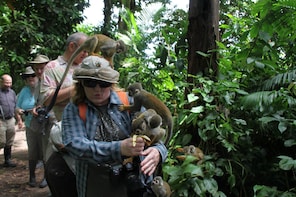 3-Day Private Wildlife Adventure In Cat Ba National Park