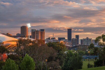 Bakker, pladser og Parklands-vandretur