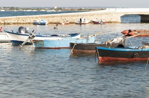 Wine tour and sunset show in Porto Cesareo
