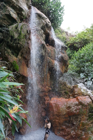Rainforest Waterfall Adventure 
