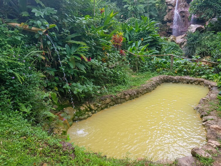 Small body of water surrounded by vegetation on St. Lucia