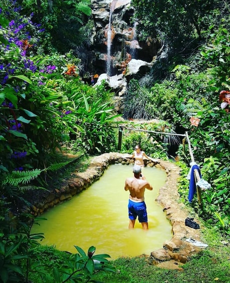 Rainforest Waterfall Adventure 