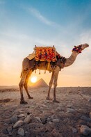 Private full day tour to Memphis, Sakkara and Giza Pyramids