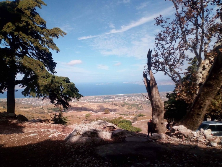 Uncharted Escapes Safari in Kos