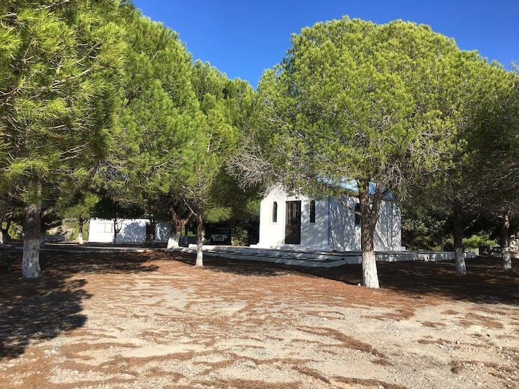 Sunny spot among trees in Rhodes, Greece